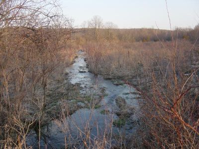 Wet Lands