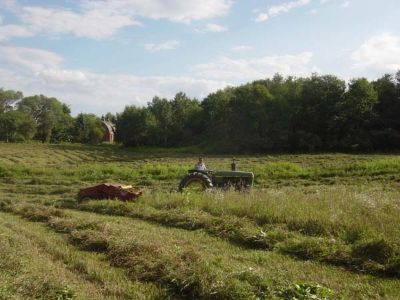 Trevor Hull Cutting Hay
